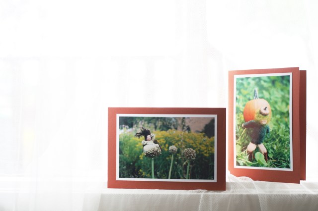 Tishtashy photo cards